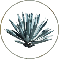 Botran Rare Blend - Guatamala Agave - 40% Botran Rare Blend - Guatamala Agave - 40%
