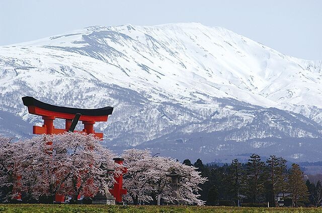 Yamazakura Peated Blended Whisky - 46% Yamazakura Peated Blended Whisky - 46%