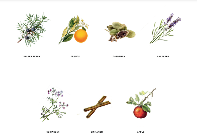 Levwater Gin / Jenever - 38% Levwater Gin / Jenever - 38%