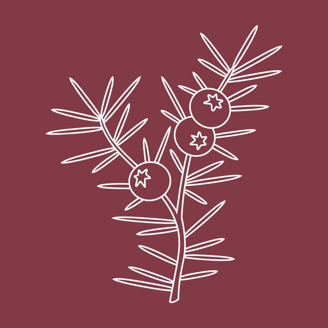 Mackmyra - Vinterglod - 46.1% Mackmyra - Vinterglod - 46.1%