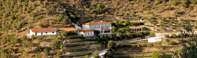 Fonseca Port - Est. 1815