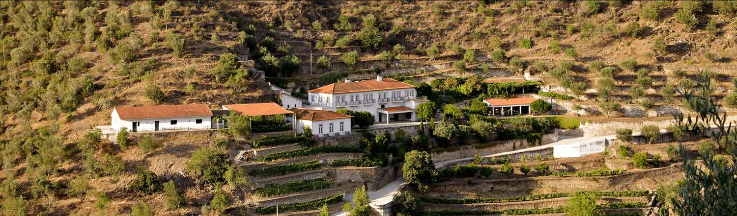 Fonseca 10 years aged Tawny Port Fonseca 10 years aged Tawny Port
