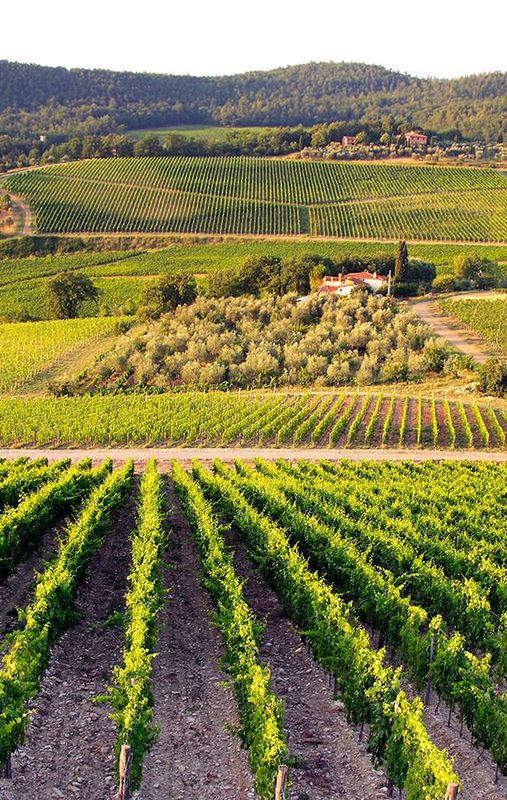 Frescobaldi Nipozzano Riserva Chianti Rúfina in Giftbox