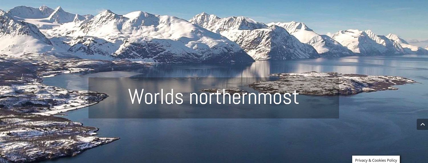 Bivrost - Yggdrasil 2024 - 46%