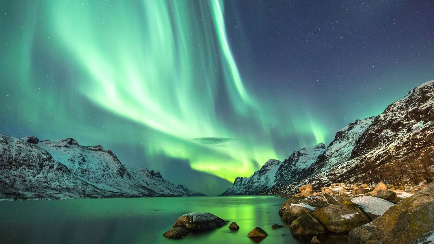 Teerenpeli 10 years - 43% Teerenpeli 10 years - 43%