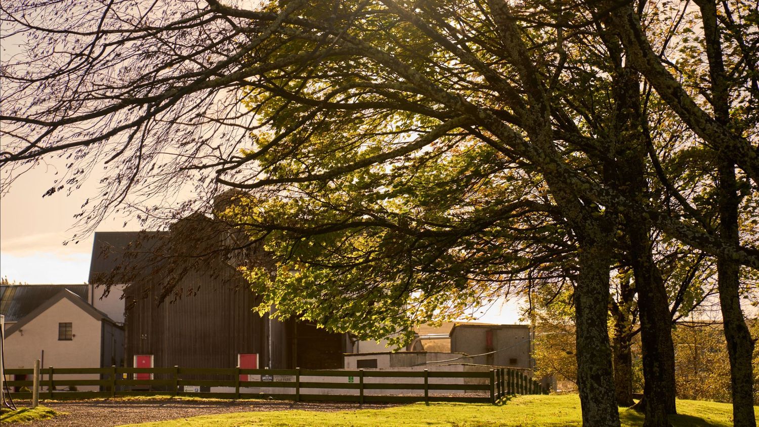Tomatin "The Sherry Collection" 2006/17 years Pedro Ximénez Sherry Casks - 46%