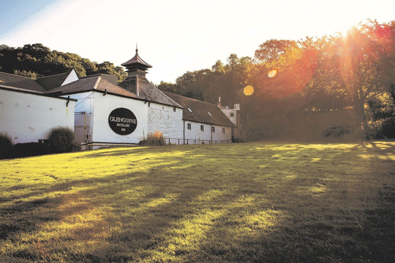 Glengoyne Mizunara Oak 16 years - Oak Masters serie - 53.4%