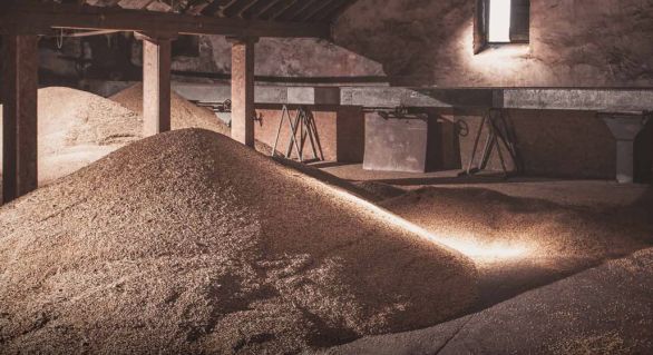 Springbank 5 years - 100 Proof - 57.1%