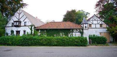 Gouden Carolus - Molenberg - Het Anker - Est. 2010