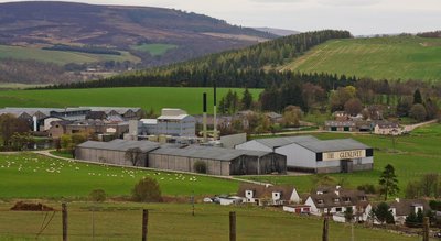 Glenlivet - Speyside Est. 1824
