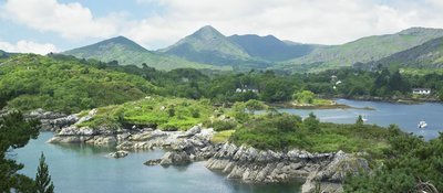 West Cork - Est. 2003