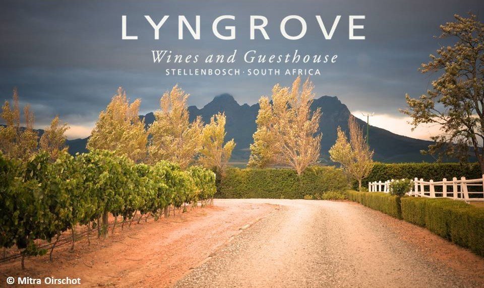 Lyngrove Pinot Noir Brut - zonder doos Lyngrove Pinot Noir Brut - zonder doos