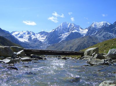 InQuota - Mountain whisky