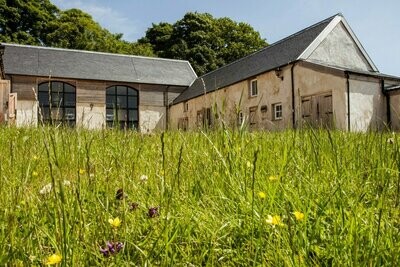 Nc'nean Organic Est. 2017