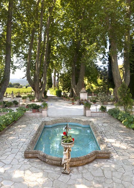 Marie Christine rose - Frankrijk - Provence