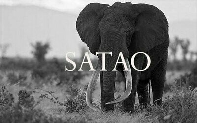 Satao Elephant Gin - 45%