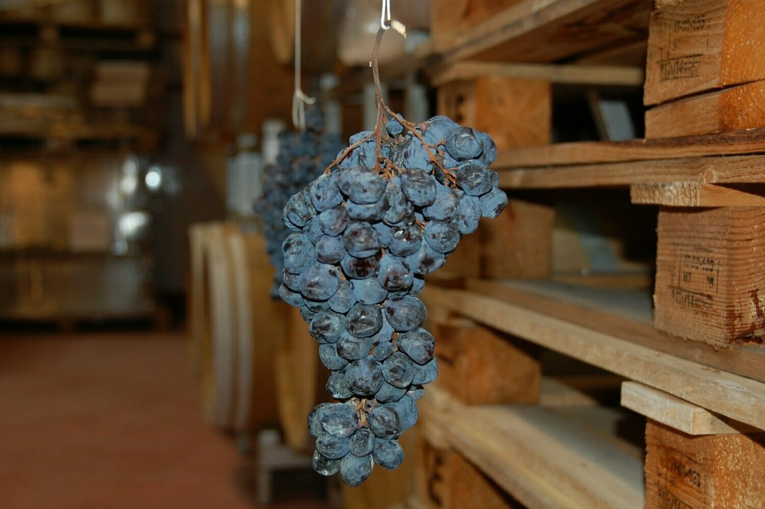 Brigaldara - Amarone della Valpolicella Cavolo - Italië Brigaldara - Amarone della Valpolicella Cavolo - Italië