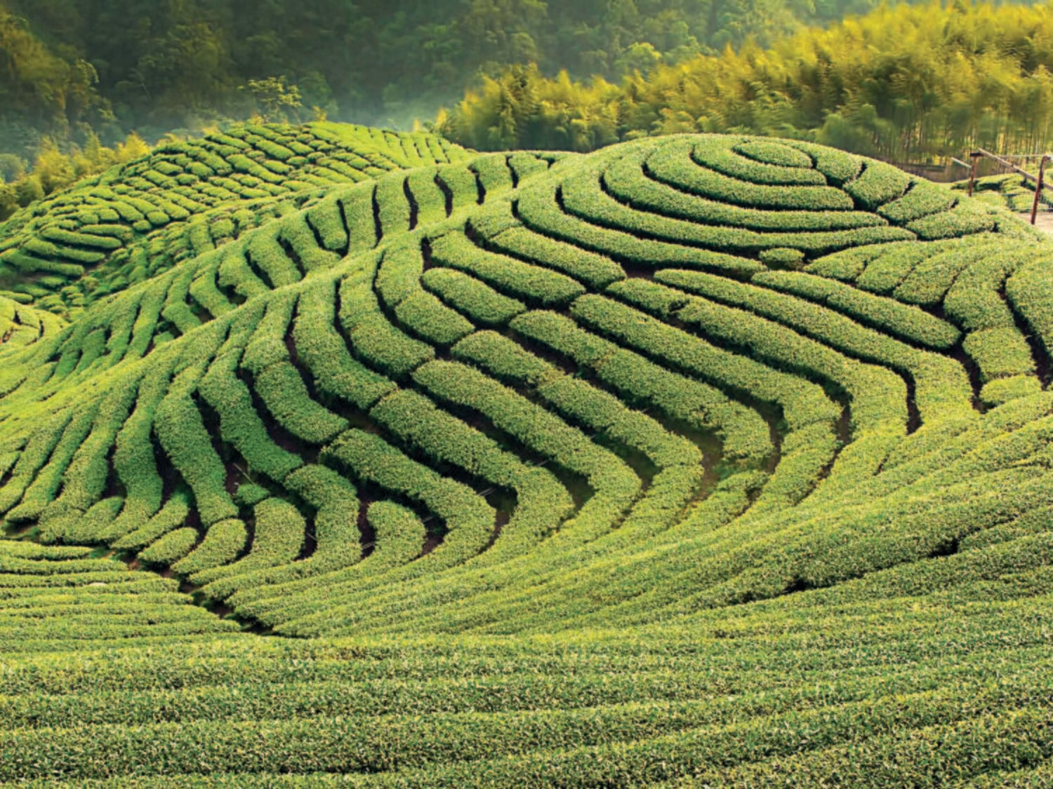 Yushan Blended malt - 40% Yushan Blended malt - 40%