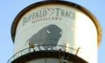 Buffalo Trace Bourbon - 40%