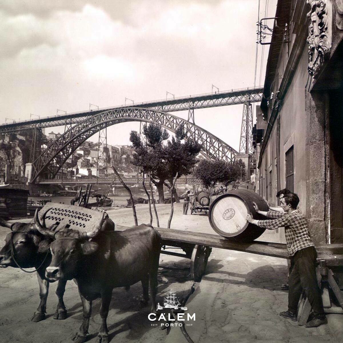 Calem Colheita Port 2001
