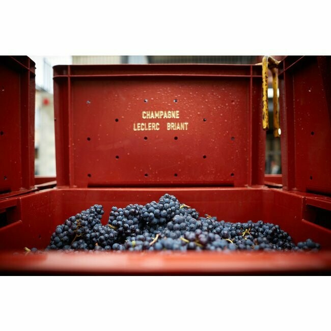 Leclerc Briant Reserve Brut Champagne