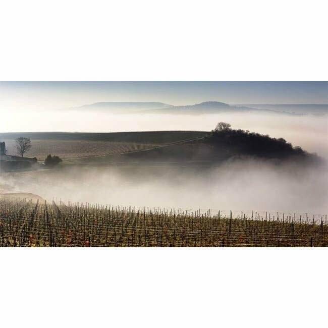 Leclerc Briant Millésime - 2016 - Champagne Leclerc Briant Millésime - 2016 - Champagne