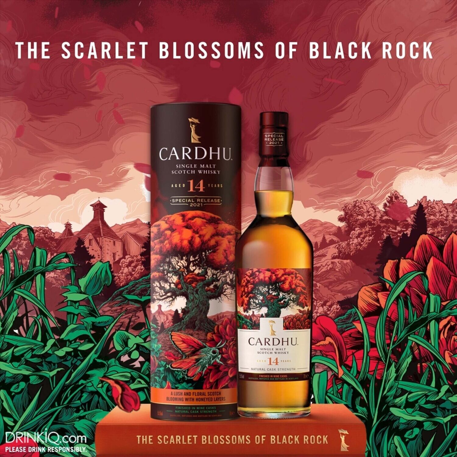 Cardhu 14 years - Special Release - 55,5%
