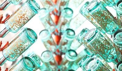 Silent Pool Rare Citrus Gin - 43%