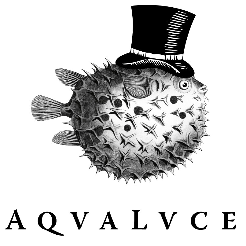 Aqva Lvce Gin - Italië - 47% Aqva Lvce Gin - Italië - 47%