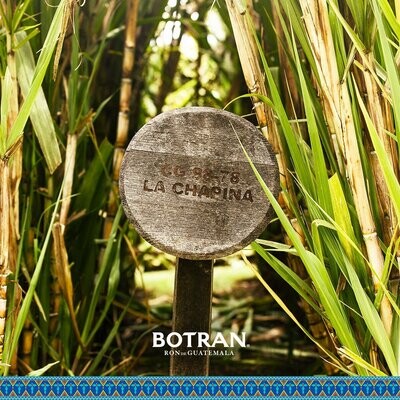 Botran Cobre Rum - 45%