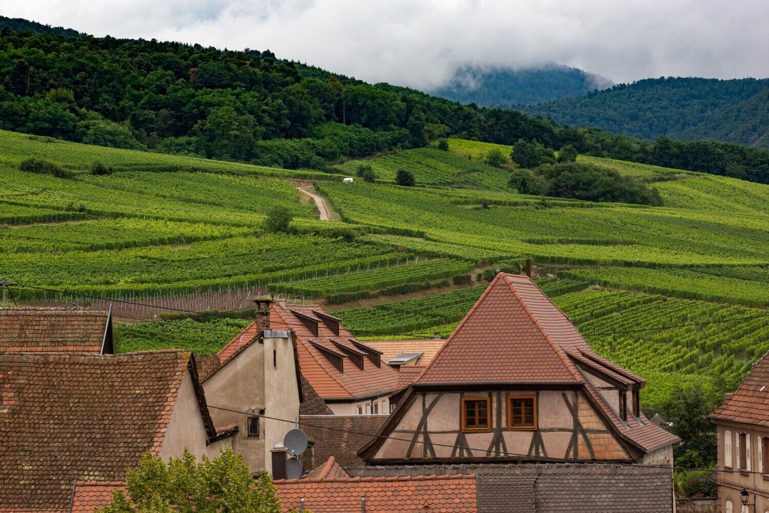 Dopff - Pinot Gris / Riesling - Elzas - Frankrijk