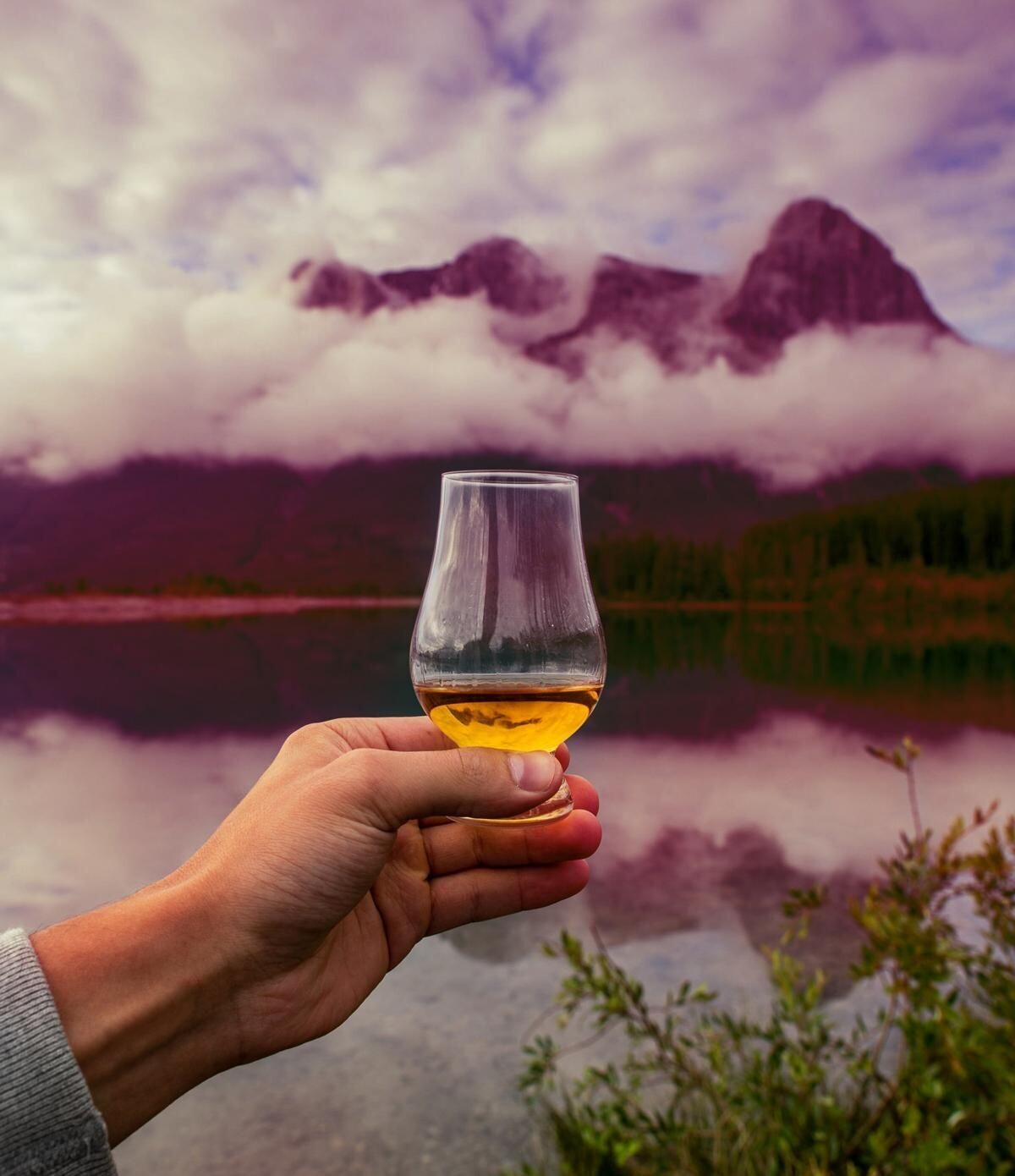 The  Macallan Classic Cut - 2021 - 51%