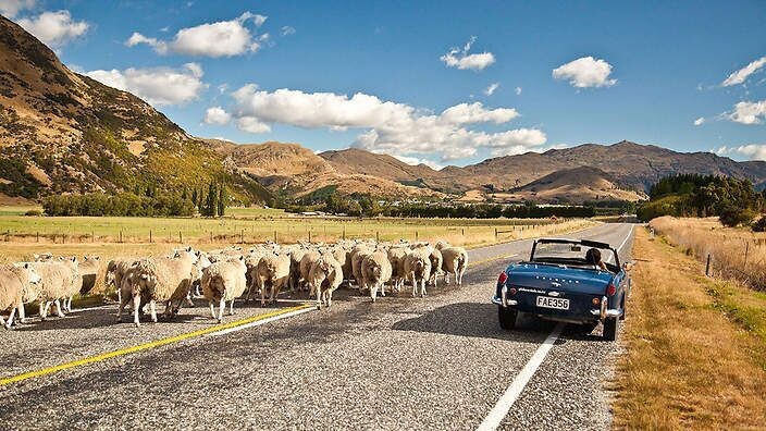 New Zealand - 33 years - 1988 New Zealand - 33 years - 1988