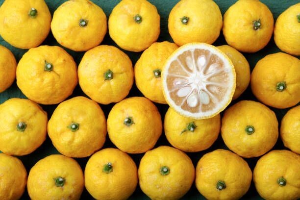 Akori yuzu gin - 40% Akori yuzu gin - 40%