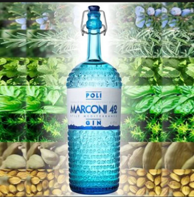 Poli Marconi Gin - 42%