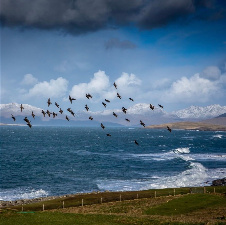 Isle of Harris The Hearach -  Batch #10 - 46%