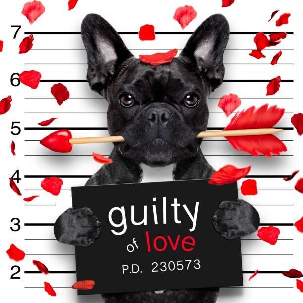 Wolfburn Love Potion - Valentine's Day - 46%
