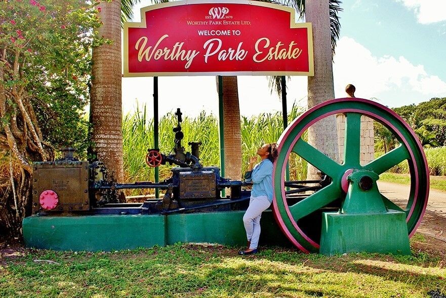 Worthy Park 109 Dark Rum - 54.5% Worthy Park 109 Dark Rum - 54.5%