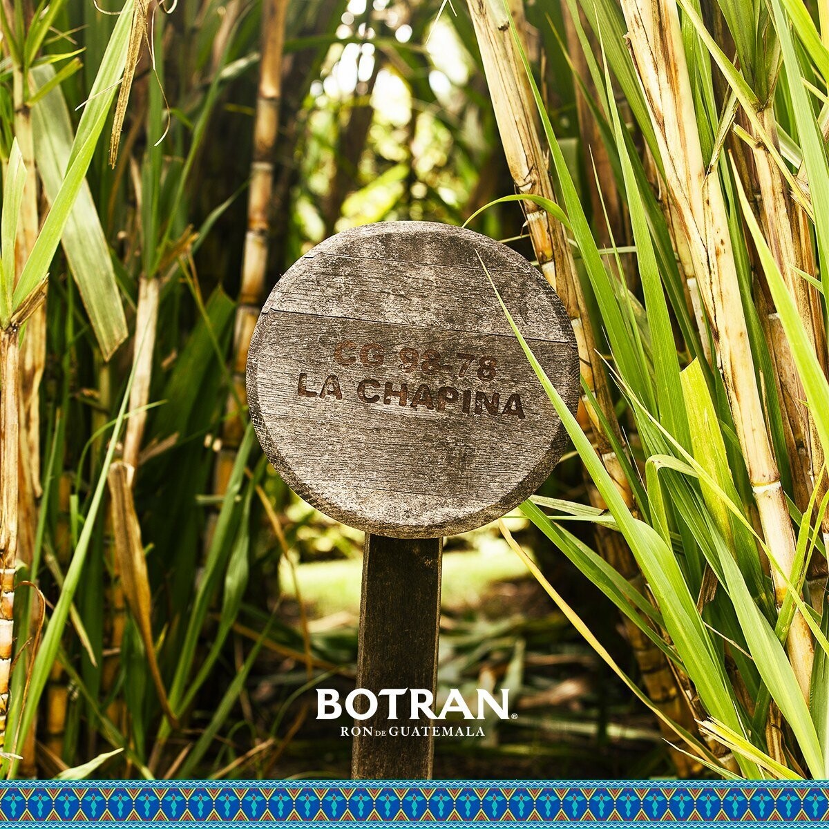 Botran Rare Blend - Vintage French Wine Cask - 40%