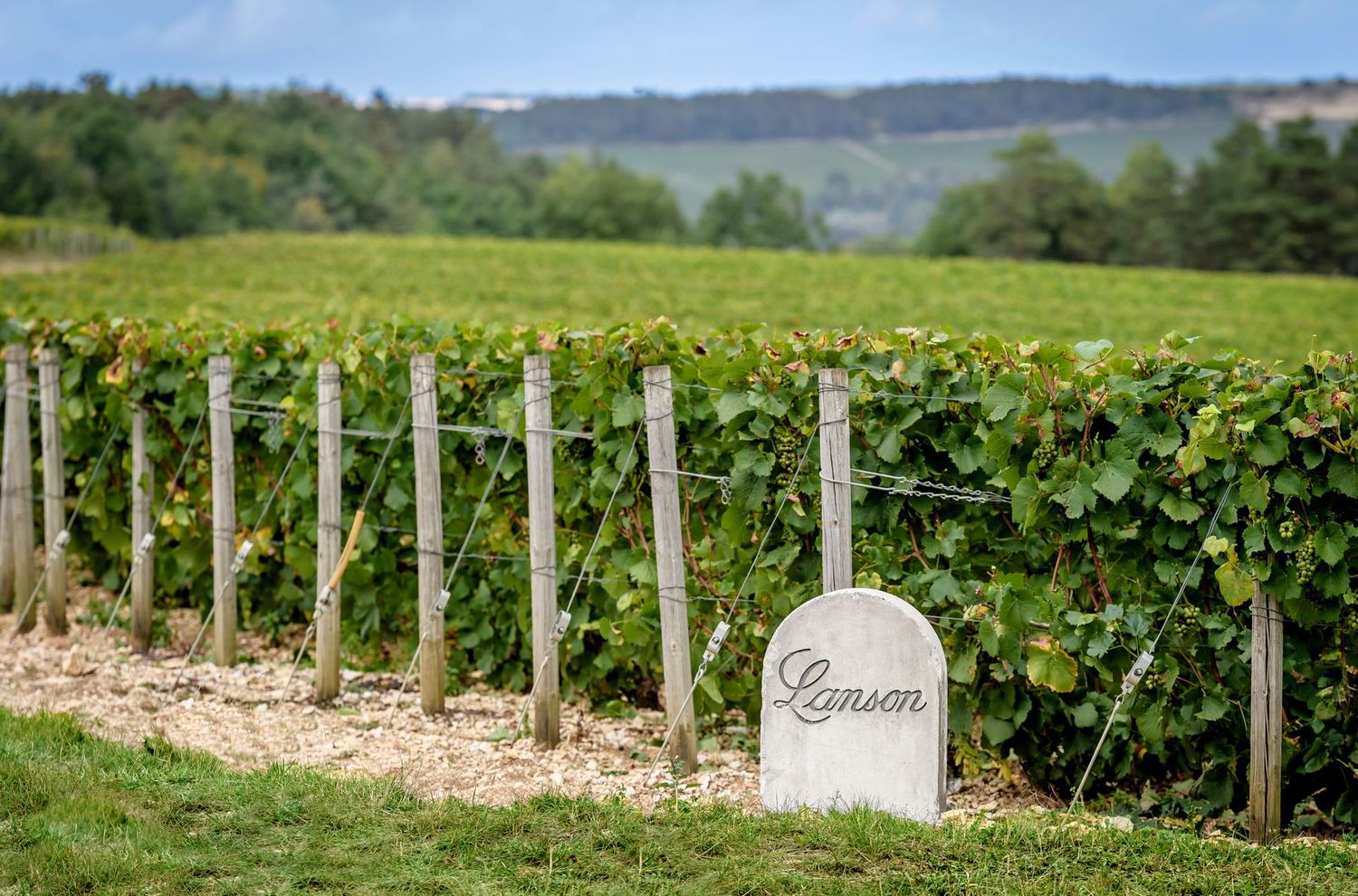 Lanson Champagne Le White Label Sec Lanson Champagne Le White Label Sec