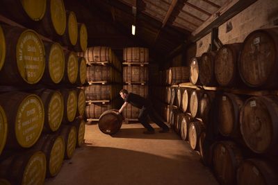 Arran 10 years - Arran Barley Optic - Batch 001 - 50%