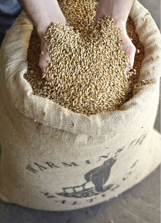 Cotswolds Single Malt - Bourbon Cask - 59.1%