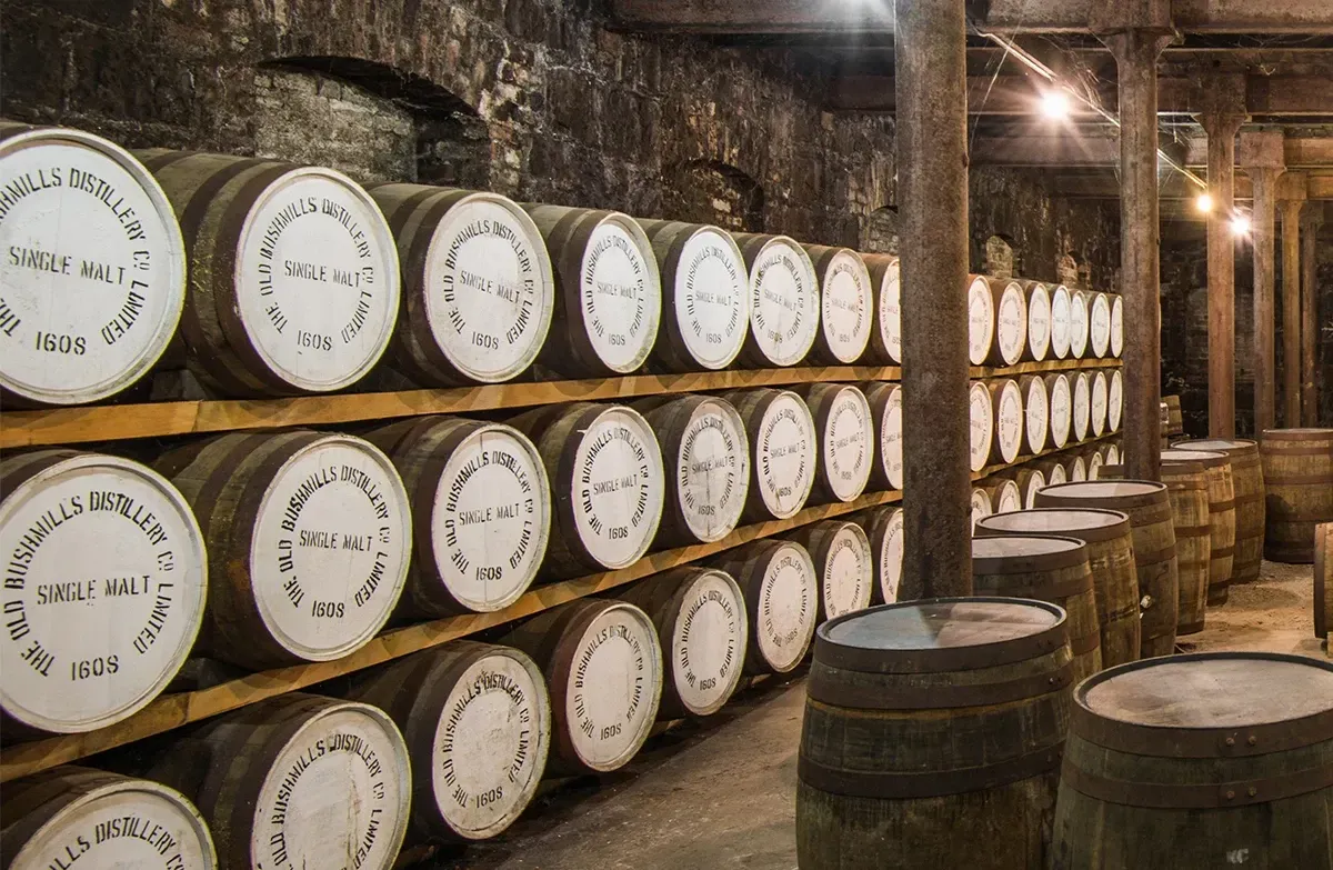 Bushmills 12 years - 40%