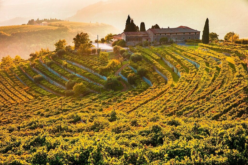 Sospetti - Toscana Rosso - Italië