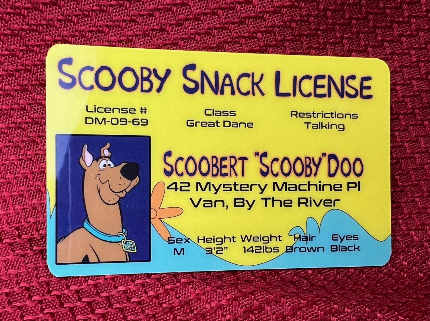 Scooby-Doo Driver&#39;s License