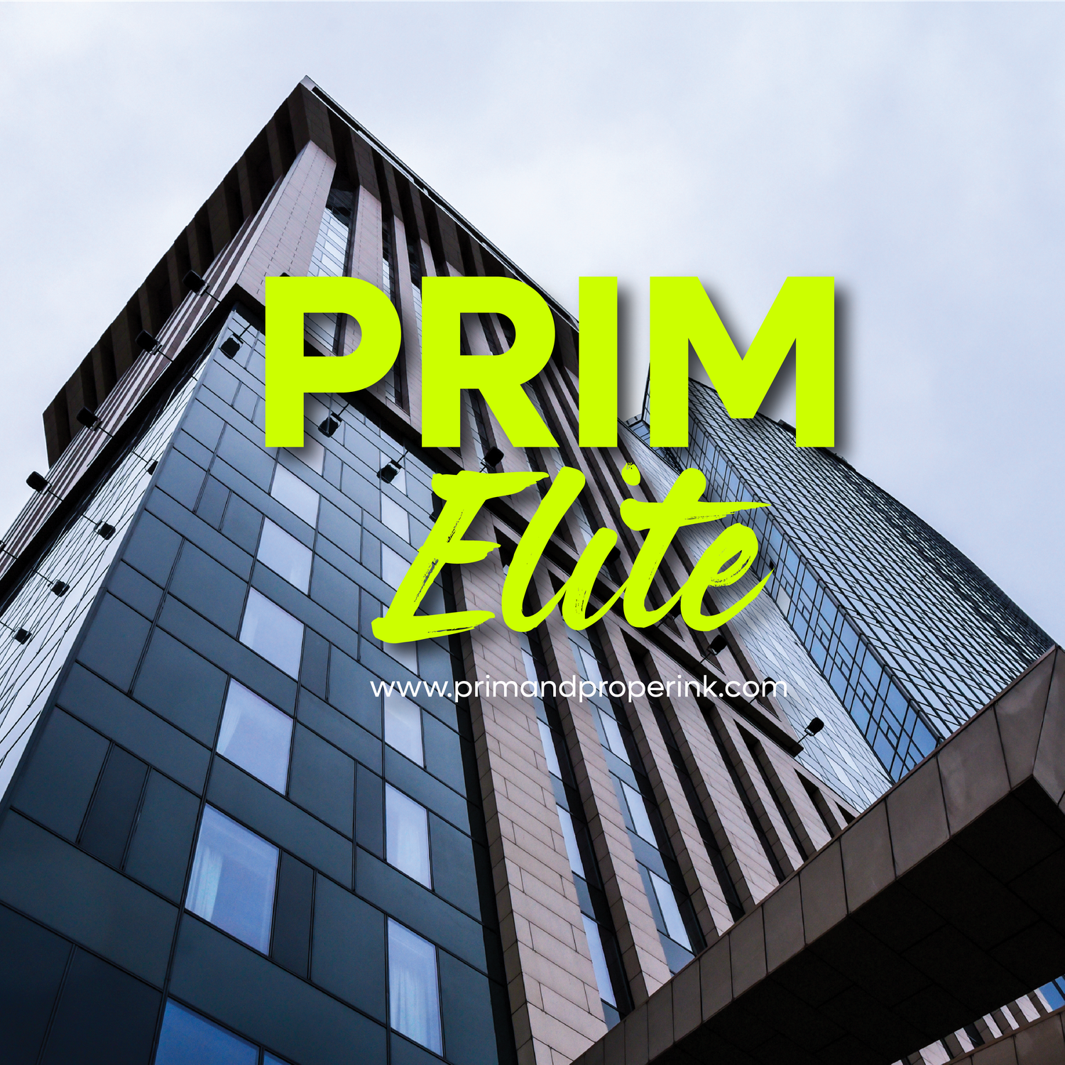 PrimElite Strategic Partnership Plan