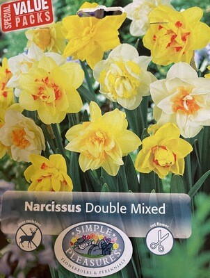 Narcissus Double Mixed