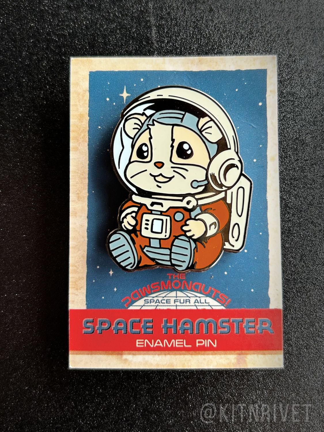 Space Hamster Pin