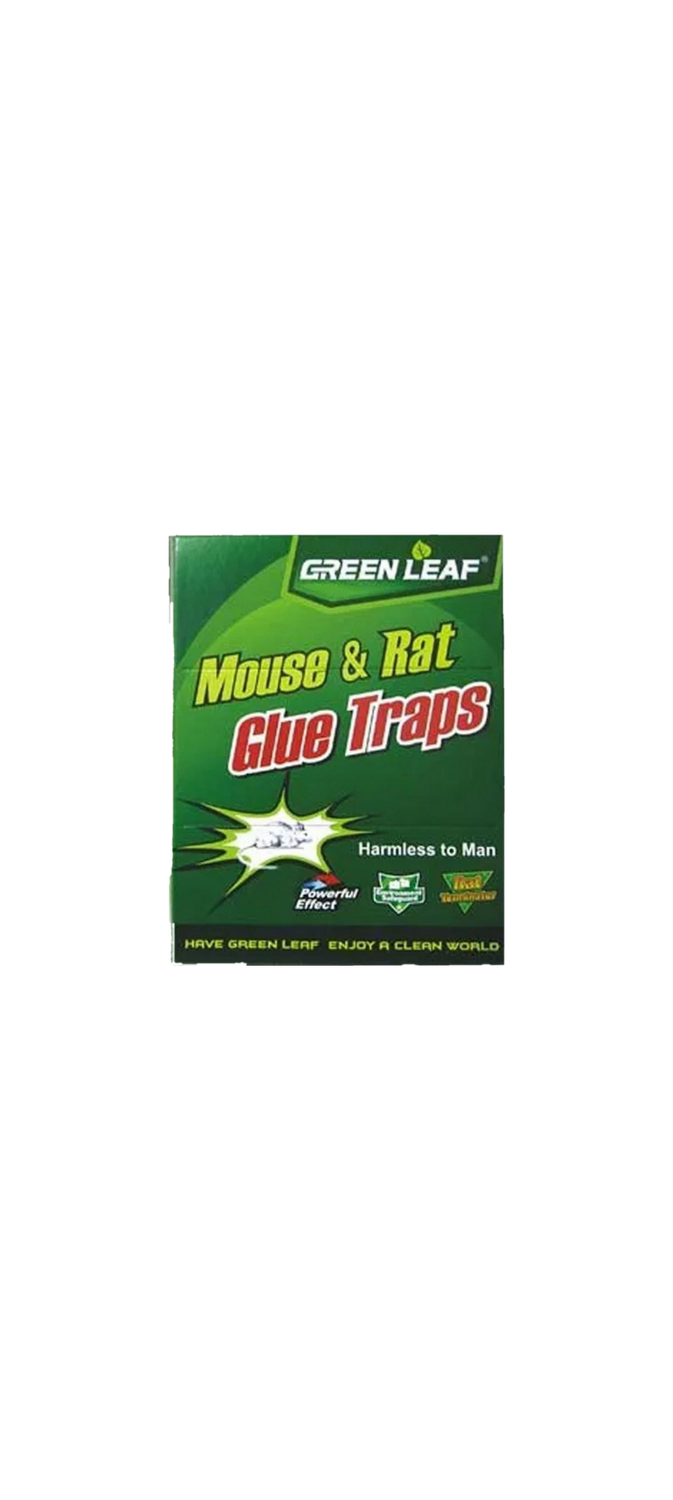 Rat Glue Trap