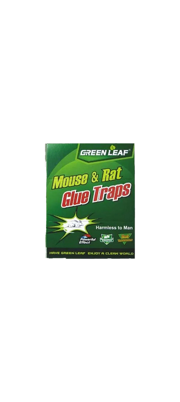 Rat Glue Trap